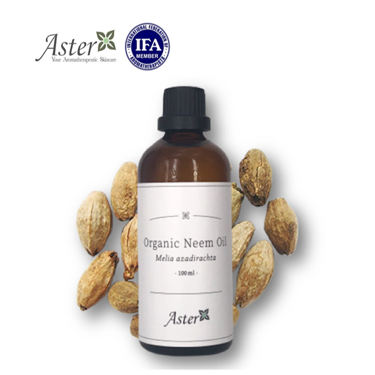Aster Aroma 有機苦棟油 (Melia Azadirachta) 100ml