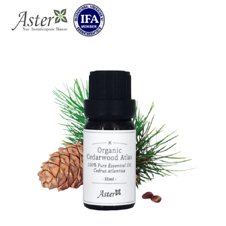 Aster Aroma 有機阿特拉斯雪松香薰精油 (Cedarus atlantica) 10ml
