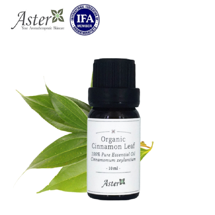 Aster Aroma 有機肉桂葉香薰精油 (Cinnamomum zeylanicum) - 10ml