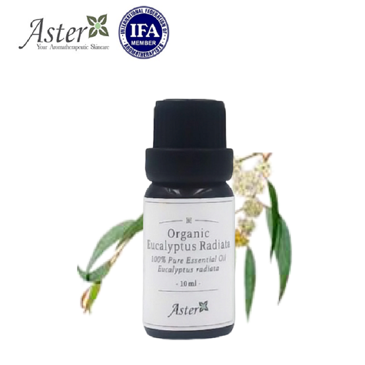 Aster Aroma 有機窄葉薄荷尤加利香薰精油 (Eucalyptus radiata) 10ml