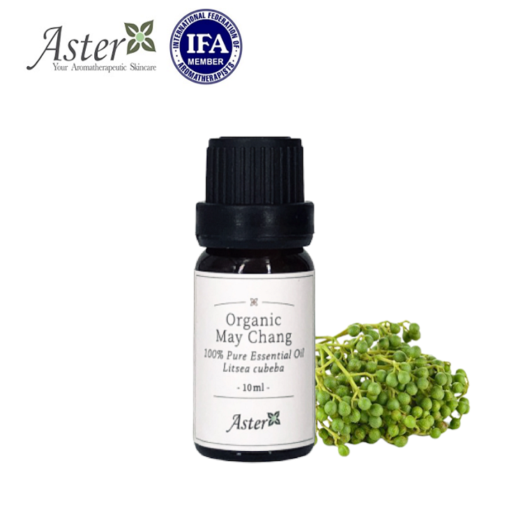 Aster Aroma 有機山雞椒香薰精油(Litsea cubeba) 10ml