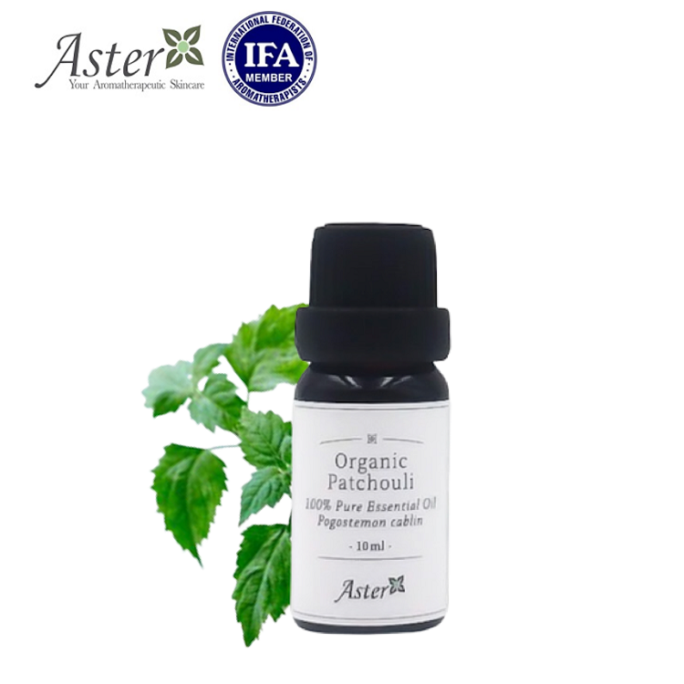 Aster Aroma 有機廣藿香香薰精油 (Pogostemon patchouli) 10ml