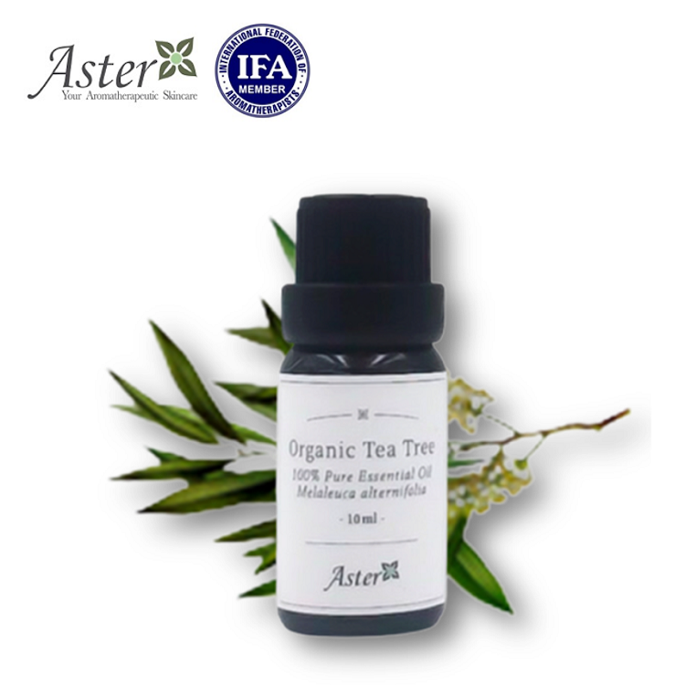 Aster Aroma 有機茶樹香薰精油 (Melaleuca alternifolia) 10ml