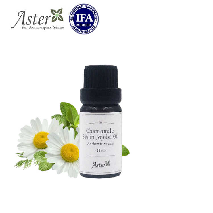 Aster Aroma 3% 洋甘菊香薰精油(Anthemis nobilis) + 有機荷荷巴油(Simmondsiachinensis) 10ml