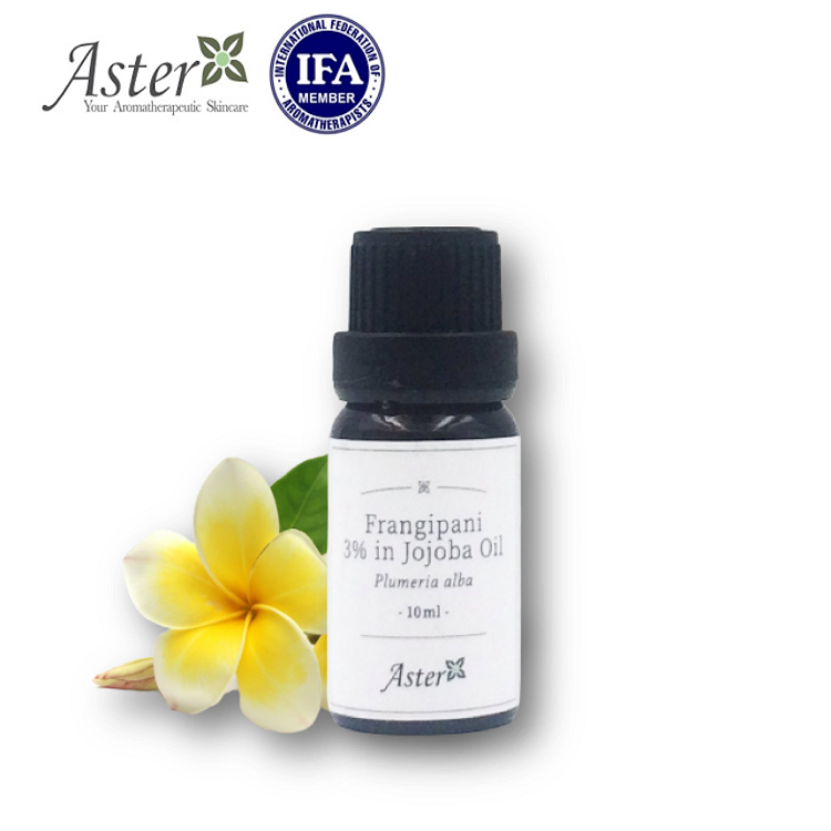 Aster Aroma 3% 雞蛋花（緬梔花) 原精香薰油(Plumeria alba) + 有機荷荷巴油(Simmondsia sinensis) 10ml