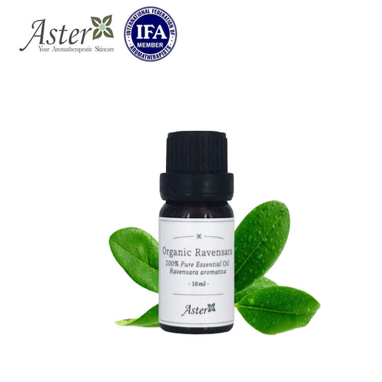 Aster Aroma 有機羅文莎葉香薰精油(Ravensara aromatica) 10ml