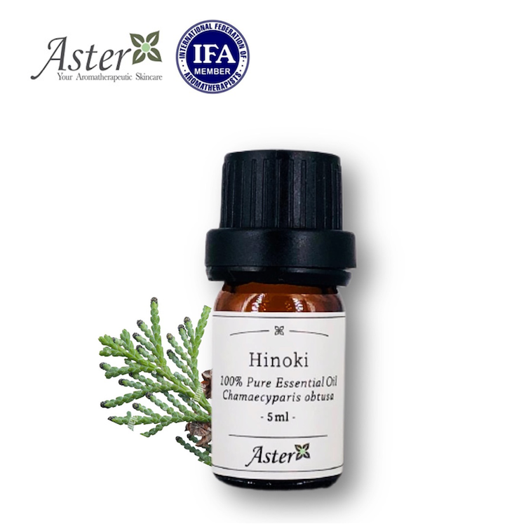 Aster Aroma 日本檜木純香薰精油 (Chamaecyparis obtusa) - 5ml