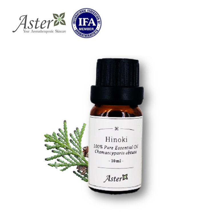Aster Aroma 日本檜木純香薰精油 (Chamaecyparis obtusa) - 10ml