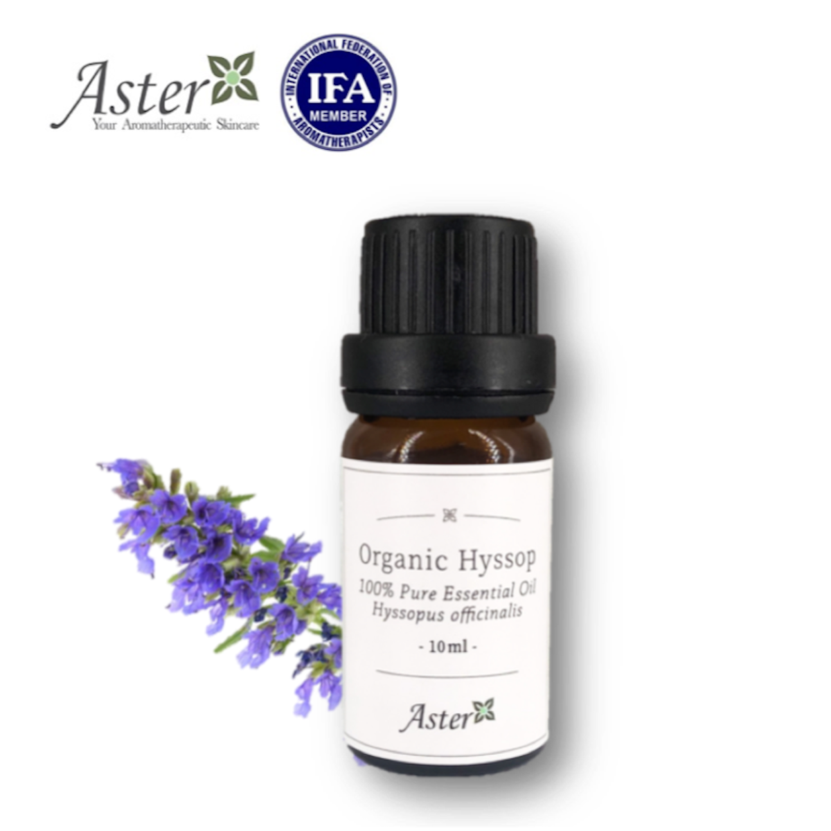 Aster Aroma 有機牛膝草香薰精油 Hyssopus officinalis 10ml