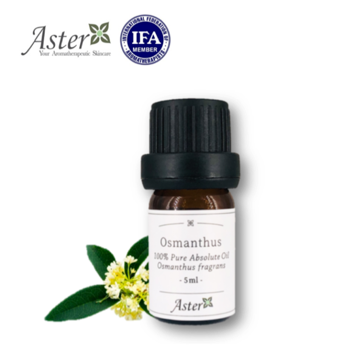 Aster Aroma 100% 桂花原精香薰油 Osmanthus fragrans 5ml