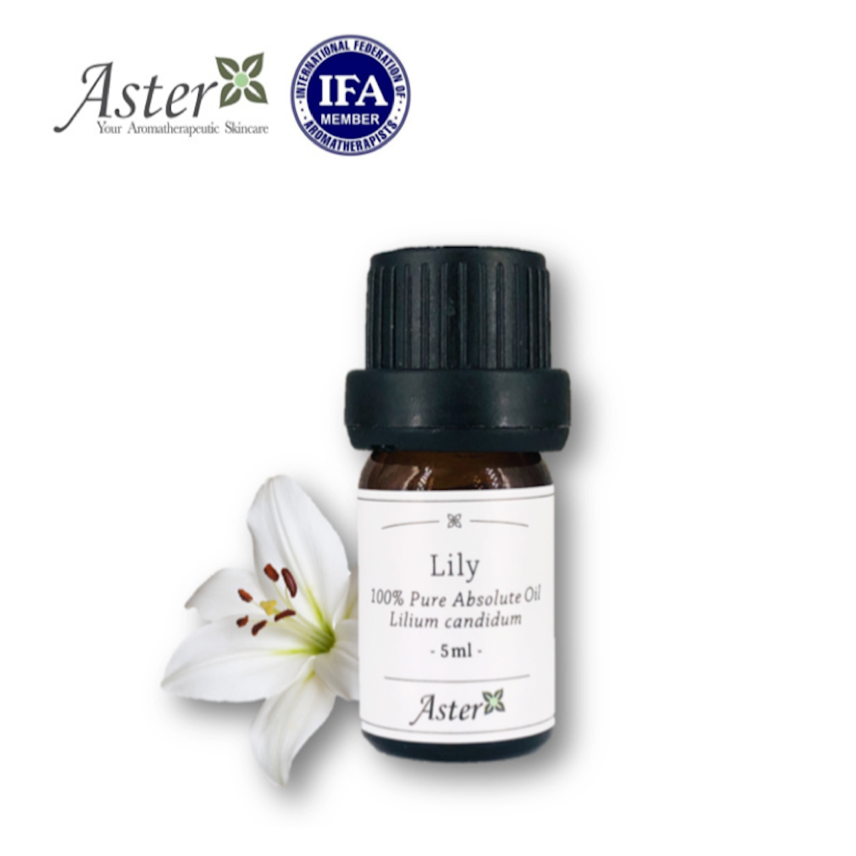 Aster Aroma 100% 百合花原精香薰油  Lilium candidum 5ml